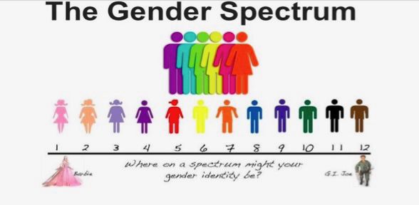 Image of 'The Gender Spectrum' promoted by gender ideologists, showing a scale of figures with Barbie at one end and GI Joe at the other