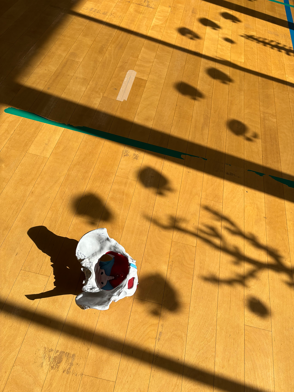 更年期の尿もれ対策は、産後から取り組むとベスト!