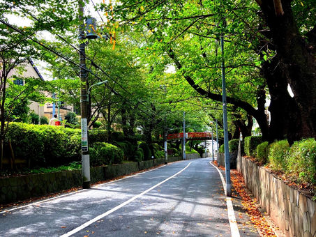 産後の生活を楽にするために必要