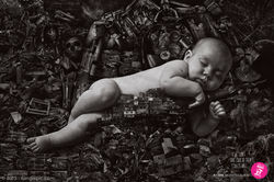 15-Gingerpic_OBRA_DO_BERCO