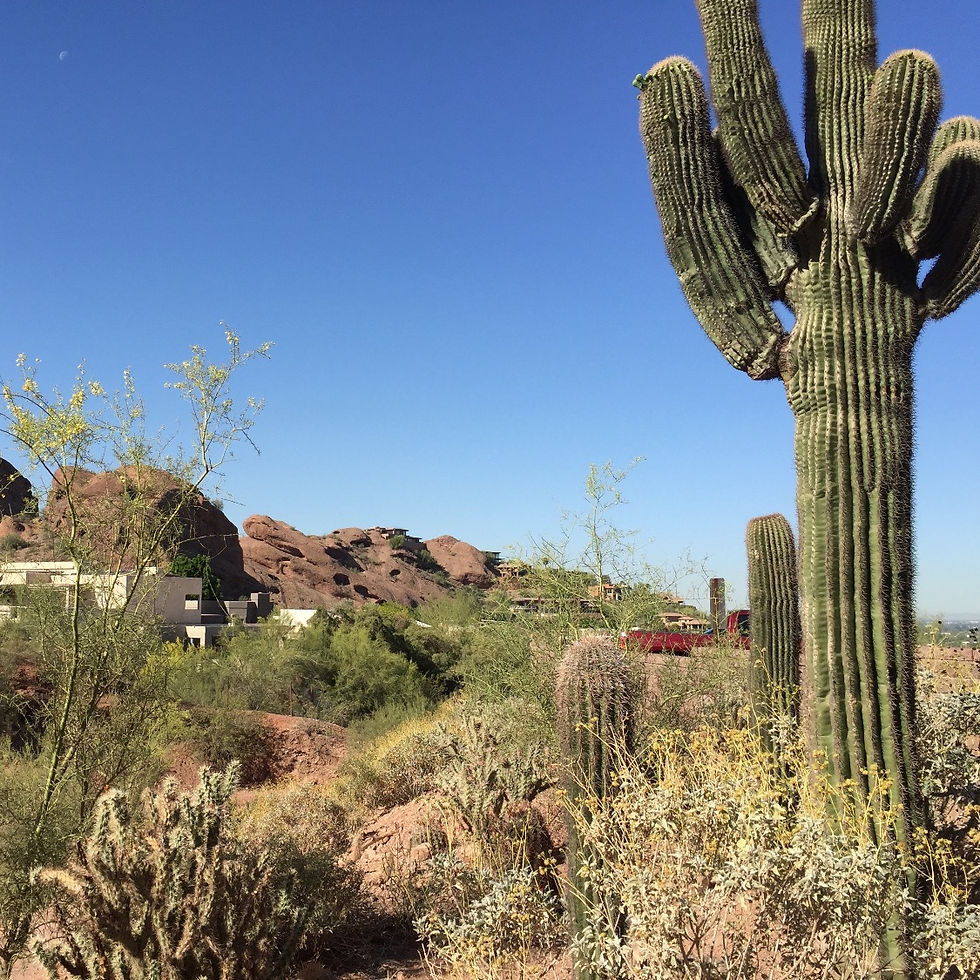 Camelback Mountain