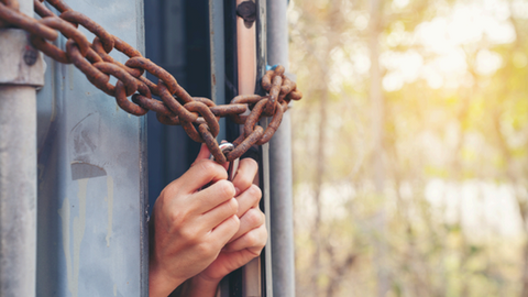 Every State is a Border State: Local Leaders Step Up While Biden Administration Falls Behind