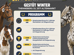 NÖ Pferdefestival