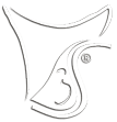 3S Logo