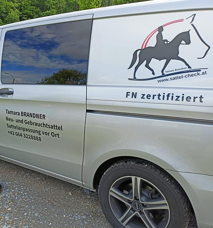 FNSattelzertif.jpeg