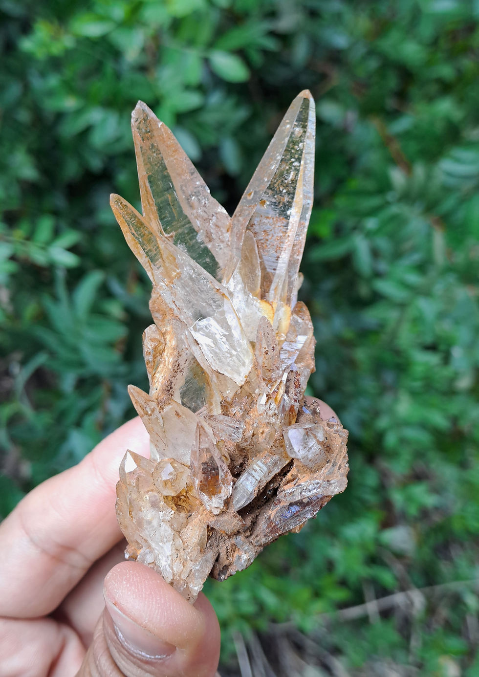 Miniatura: Drusa Quartzo Ganesh Himal Golden Healer dos Himalaias
