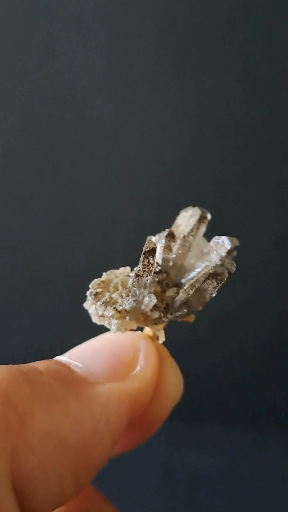 Thumbnail: Calcite Árvore Sangue de Dragão, Fujian, China