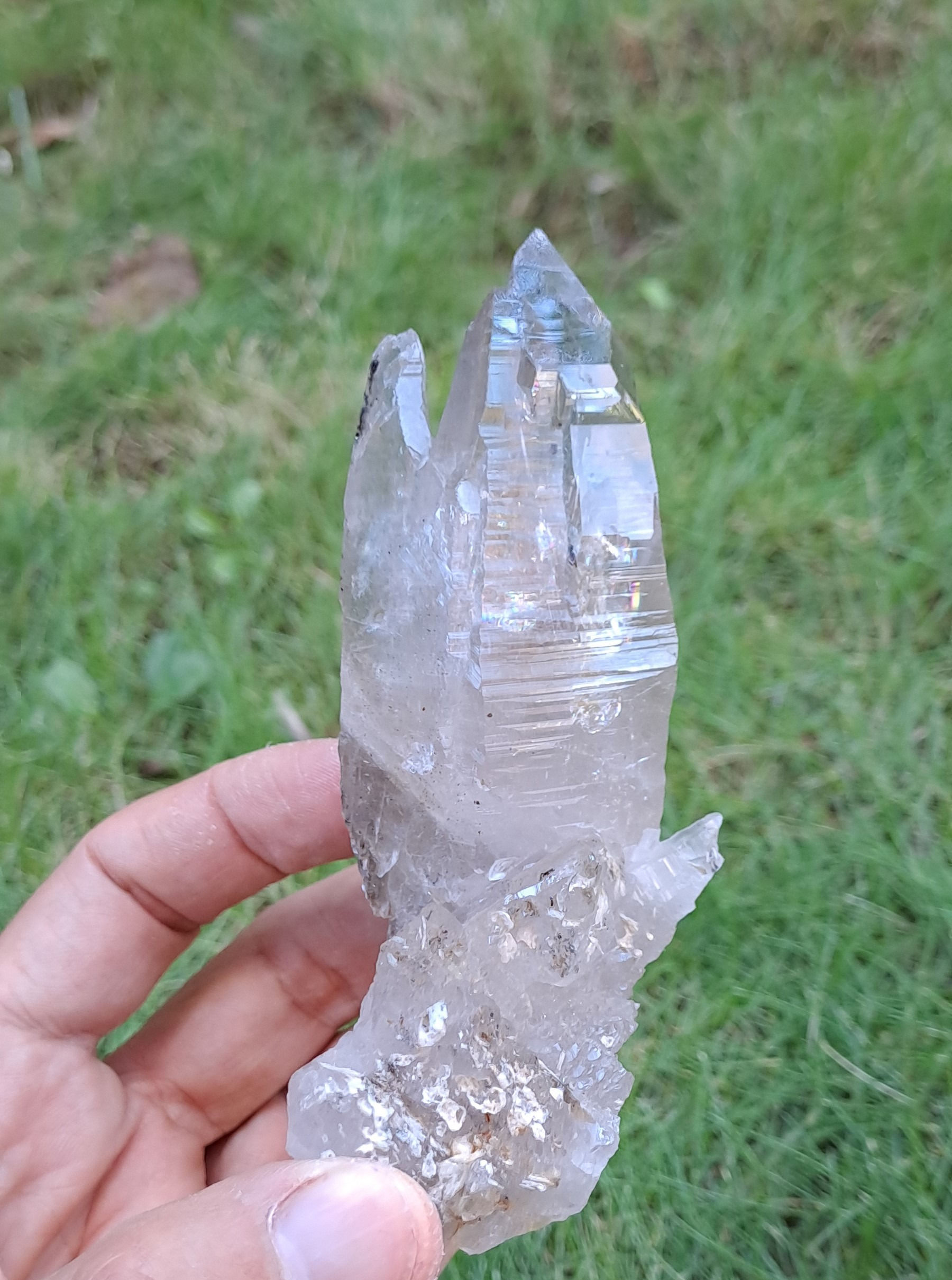 Quartzo Record Keeper dos Himalaias