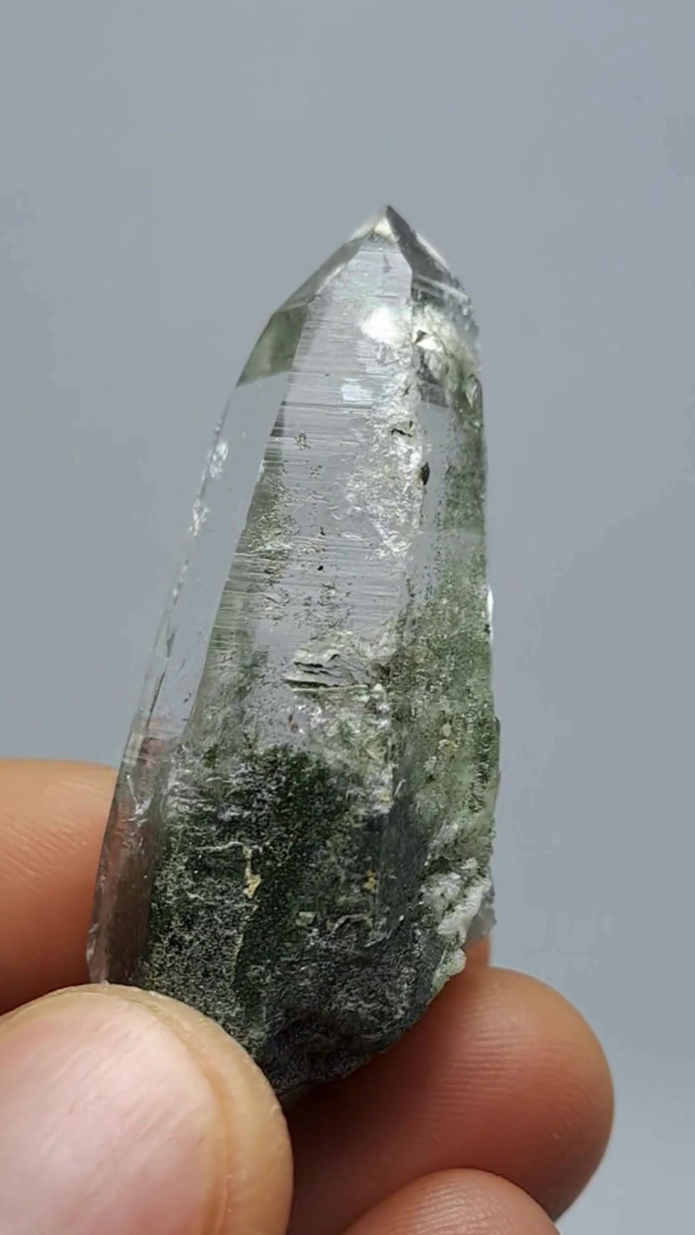 Ganesh Himal Lemuriano c\ Clorite dos himalaias