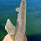 Thumbnail: Shining Apophyllite on Quartz