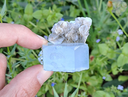 Água Marinha c\ Muscovite