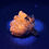 Thumbnail: Dragon Blood Tree Calcite, UV Reactive