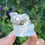 Thumbnail: Aquamarinha c\ Muscovite \ Aquamarine w\ Muscovite Matrix