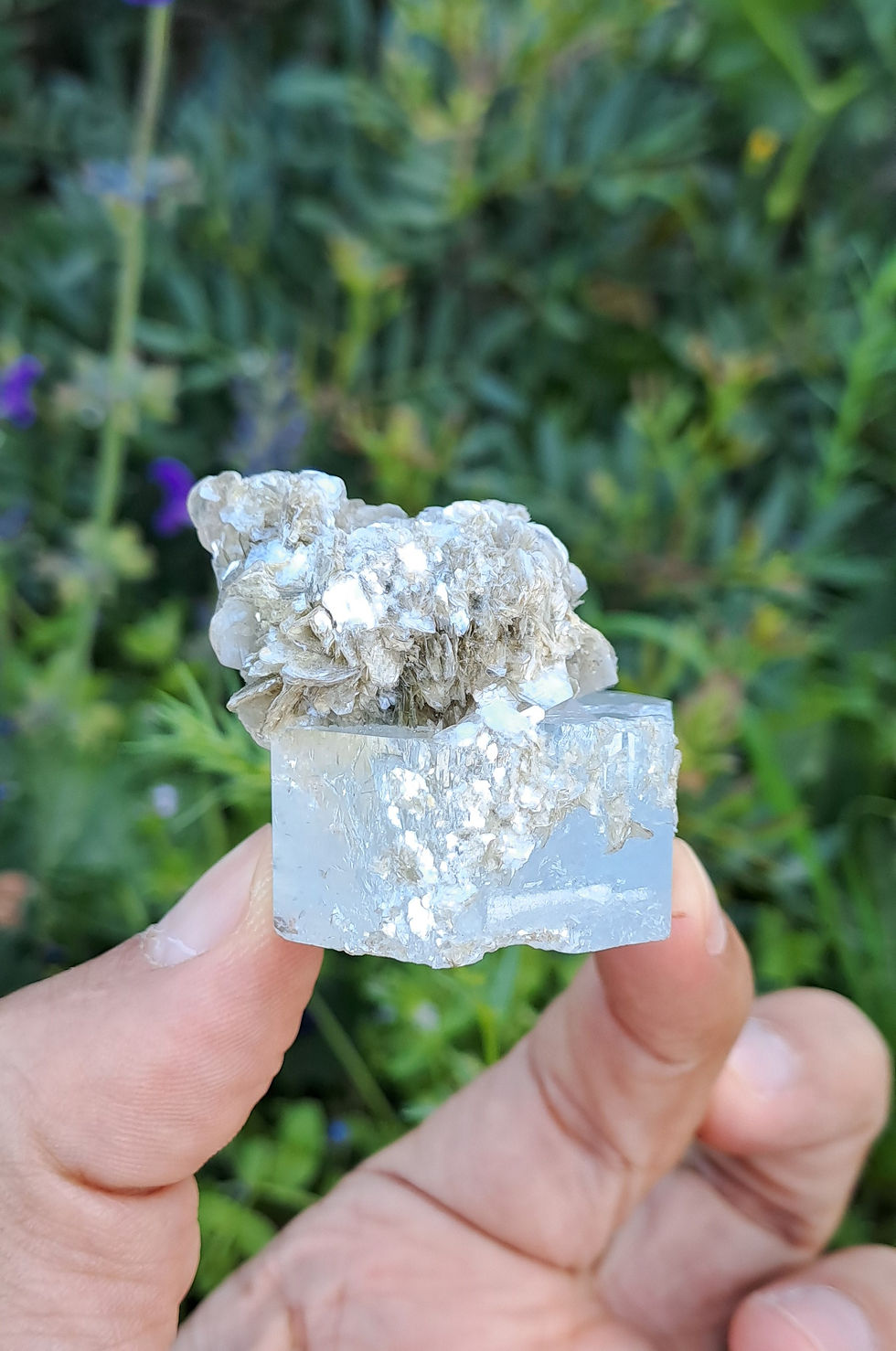 Miniatura: Aquamarinha c\ Muscovite \ Aquamarine w\ Muscovite Matrix