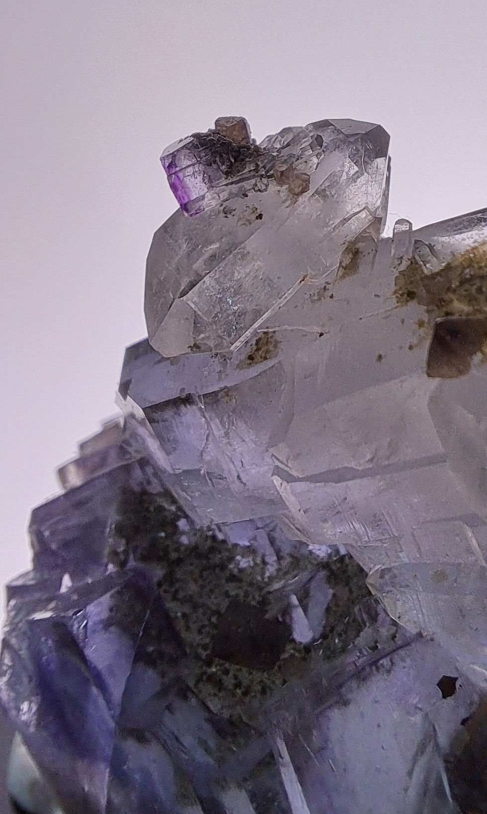 Thumbnail: Fluorite c\ Quartzo Yaogangxian, China