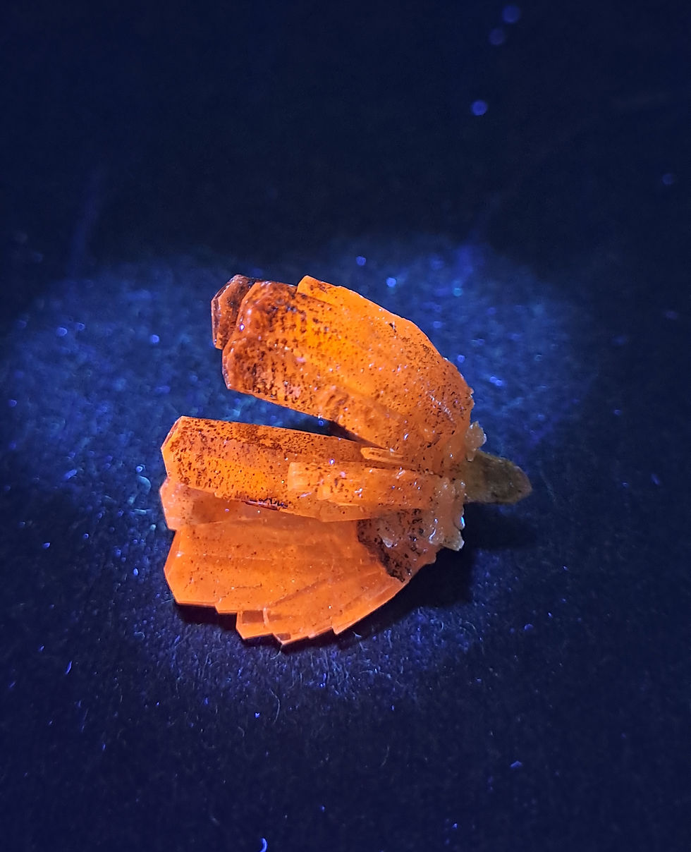 Thumbnail: Calcite Árvore Sangue de Dragão, Fujian, China