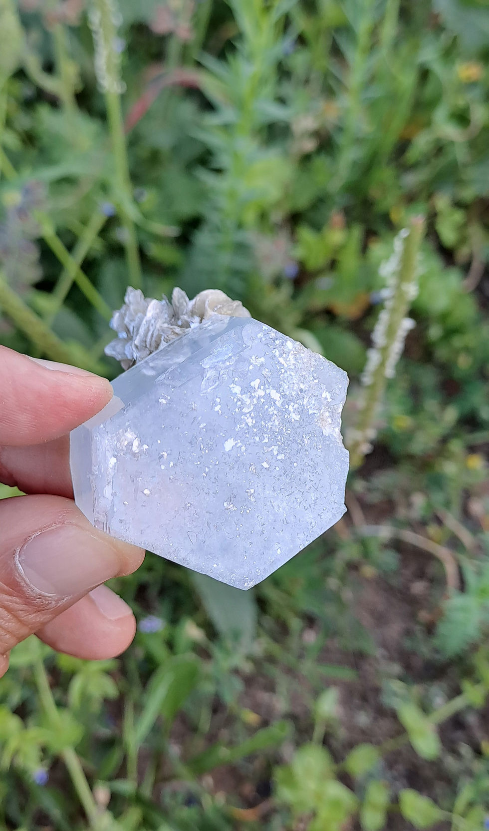 Miniatura: Aquamarinha c\ Muscovite \ Aquamarine w\ Muscovite Matrix