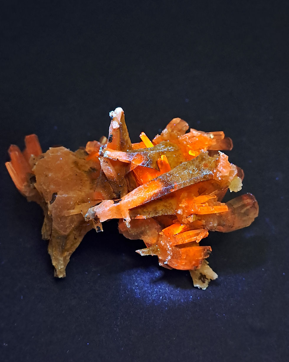 Thumbnail: Calcite Árvore Sangue de Dragão, Fujian, China
