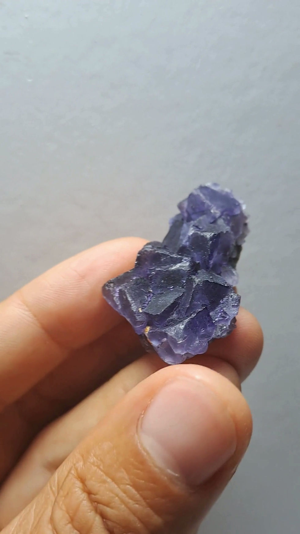 Thumbnail: Galaxy Fluorite, Petroleum Inclusions, Xinjiang, China