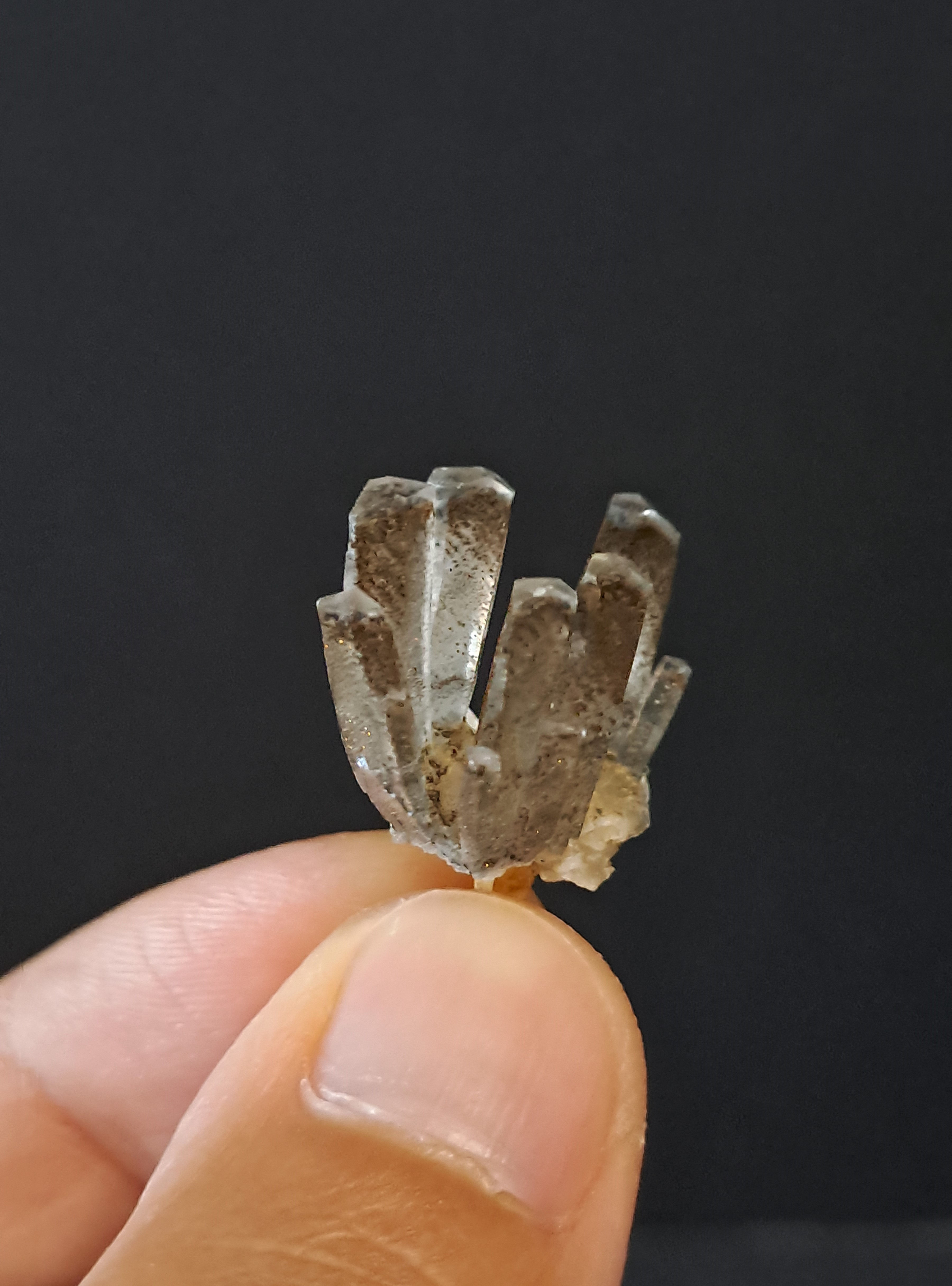 Calcite Árvore Sangue de Dragão, Fujian, China