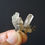 Thumbnail: Calcite Árvore Sangue de Dragão, Fujian, China