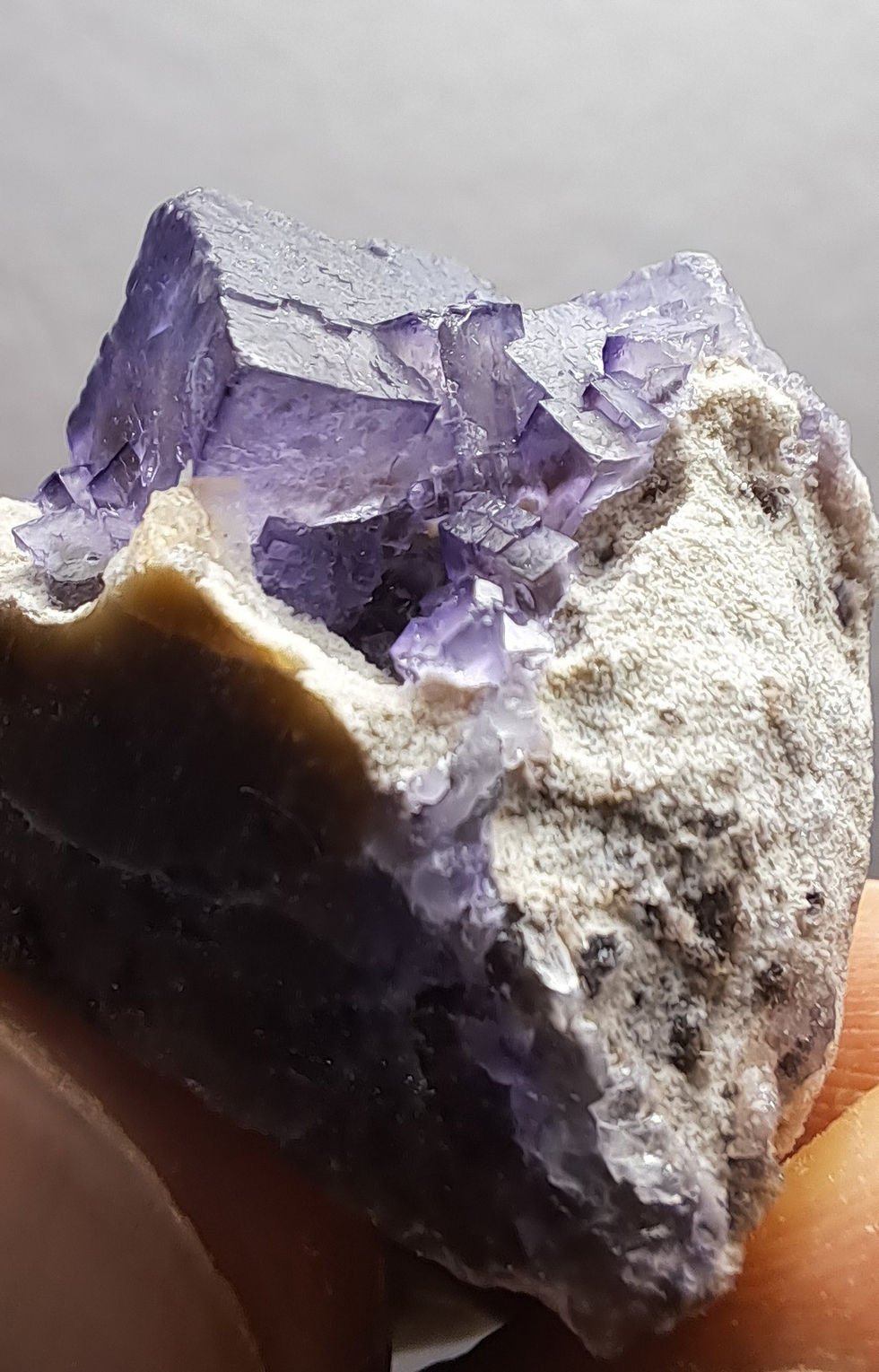 Thumbnail: Galaxy Fluorite, Petroleum Inclusions, Xinjiang, China