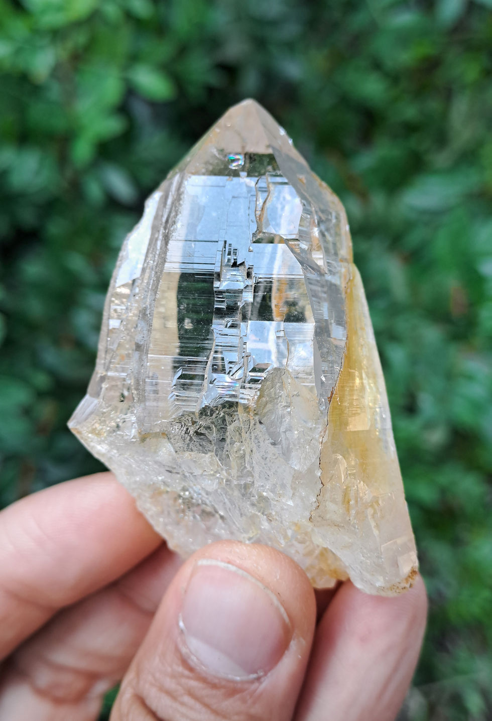 Miniatura: Quartzo Ganesh Himal Tessin Habit Golden Healer dos Himalaias
