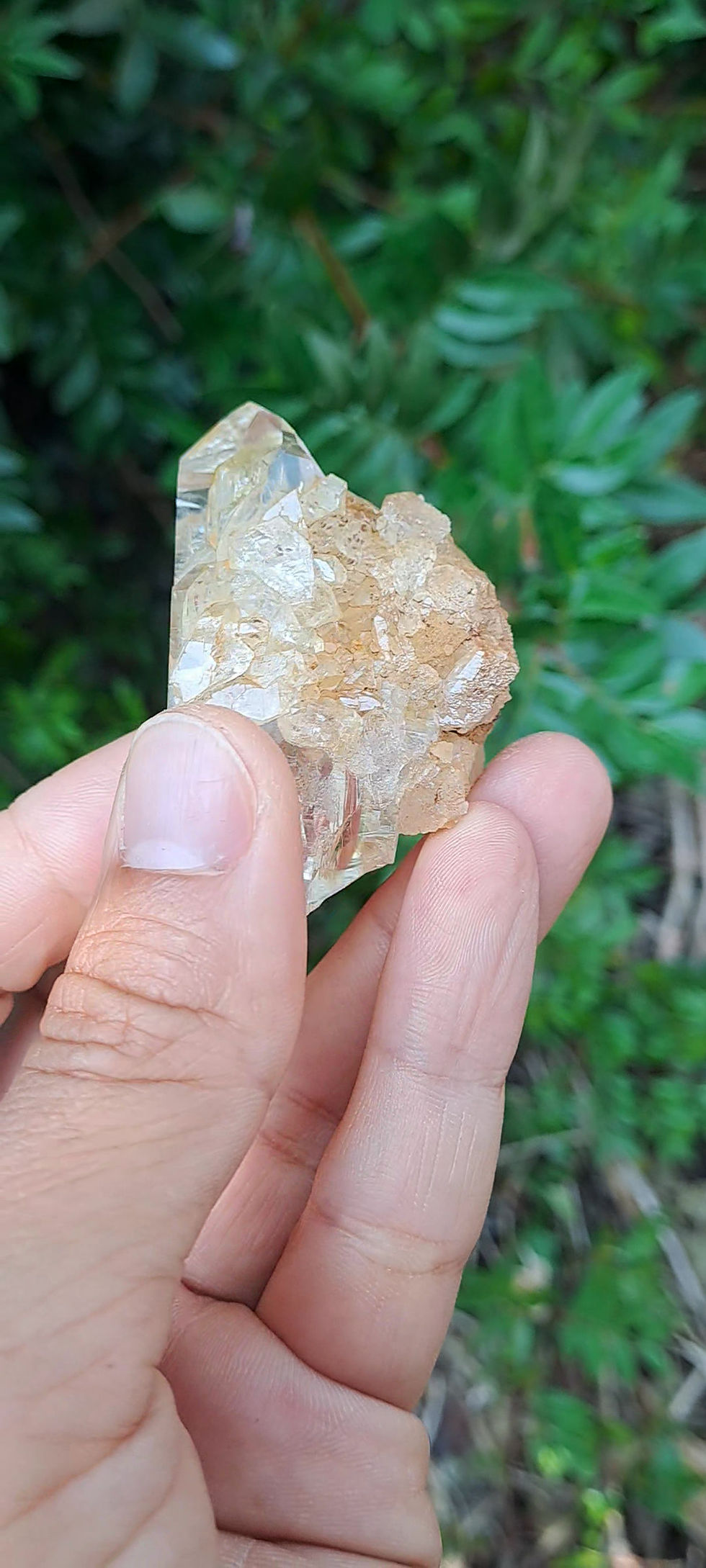 Drusa Quartzo Ganesh Himal Golden Healer