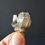 Thumbnail: Dragon Blood Tree Calcite, UV Reactive