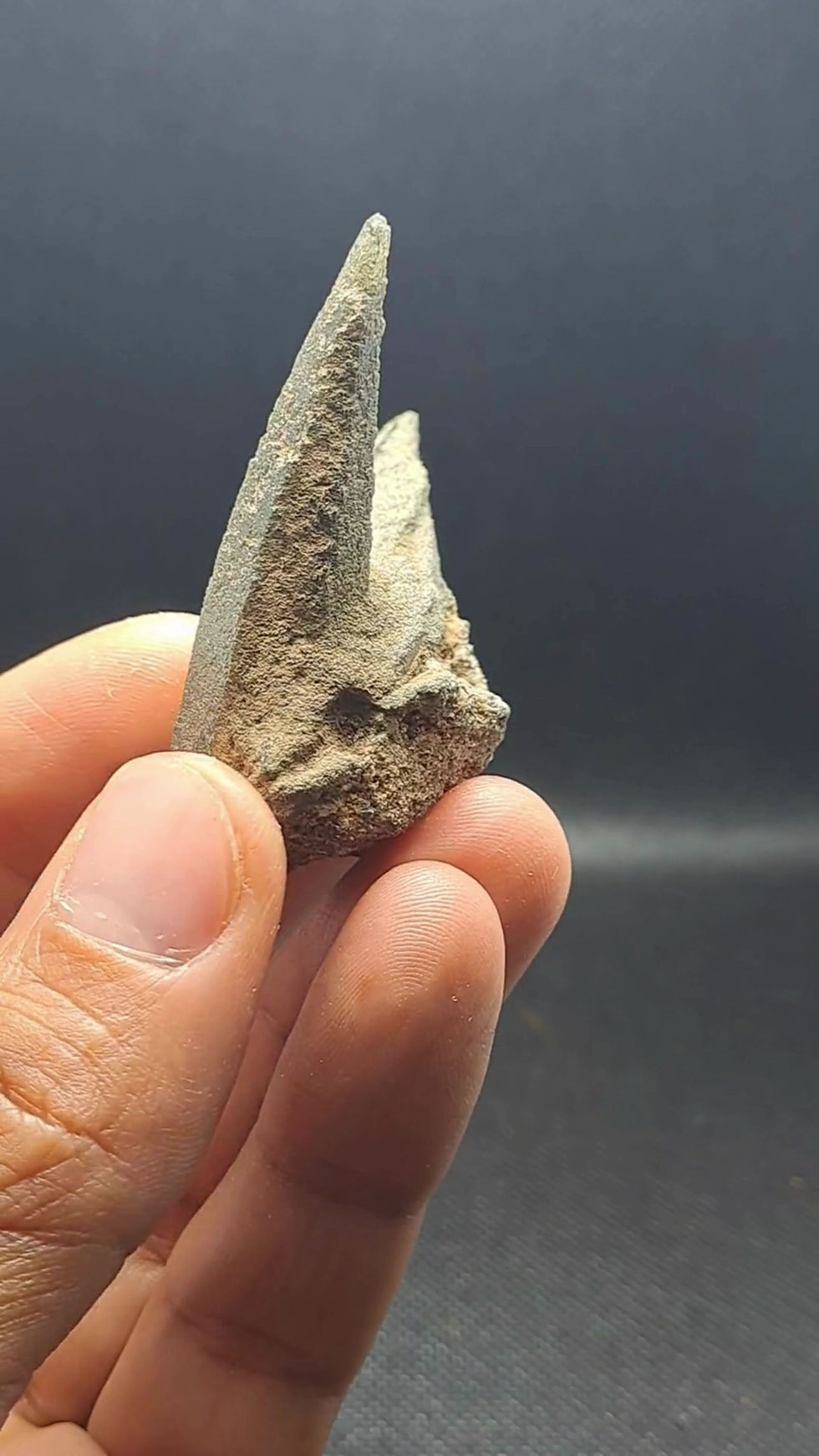 Ganesh Himal Tessin Habit c\ Clorite dos Himalaias