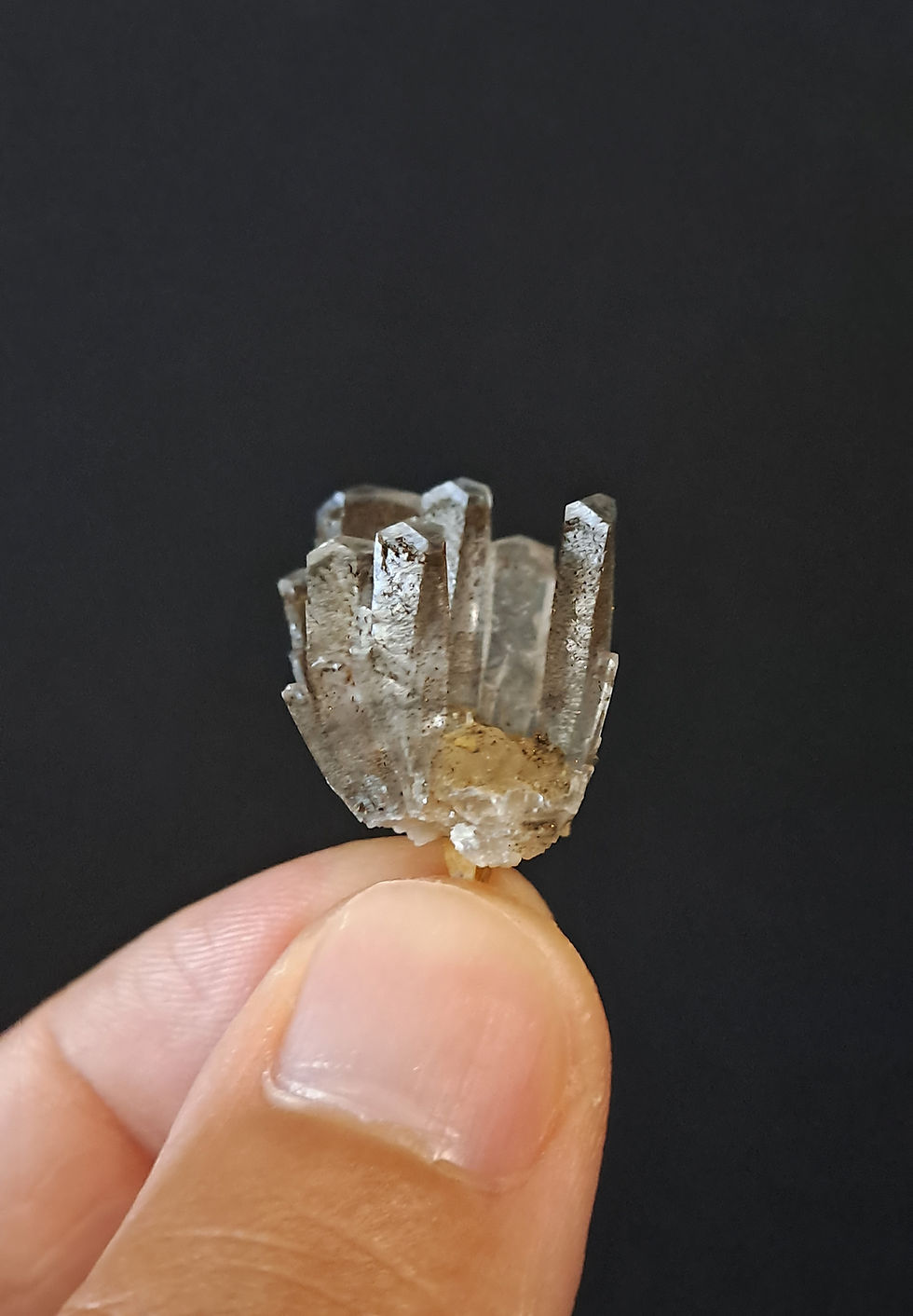 Thumbnail: Calcite Árvore Sangue de Dragão, Fujian, China