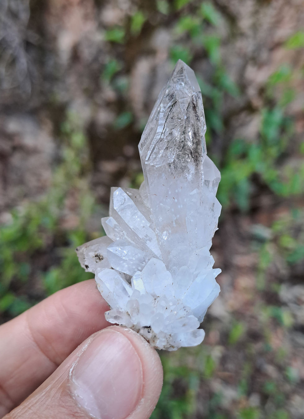 Miniatura: Drusa Quartzo Elestial Brandberg