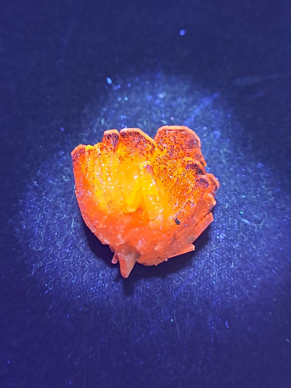 Thumbnail: Calcite Árvore Sangue de Dragão, Fujian, China