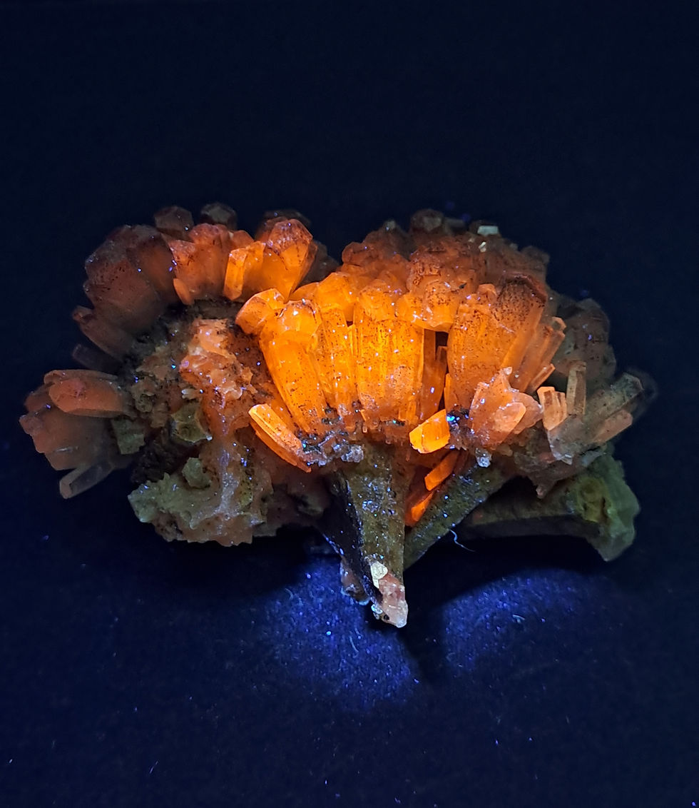 Thumbnail: Calcite Árvore Sangue de Dragão, Fujian, China