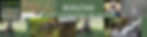 Green and White LinkedIn Header.jpg