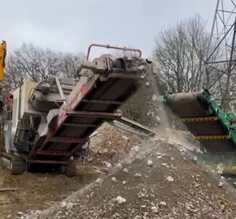 IMG_1012_edited_edited_edited