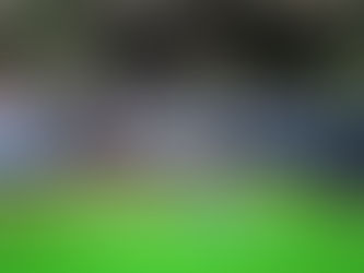 Tercera Jornada Verde: 1,000 Árboles por el Planeta