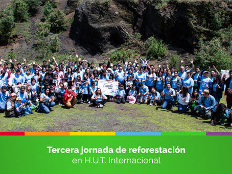 Tercera Jornada Verde: 1,000 Árboles por el Planeta