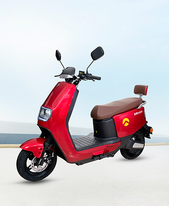 2 Roja B.jpg