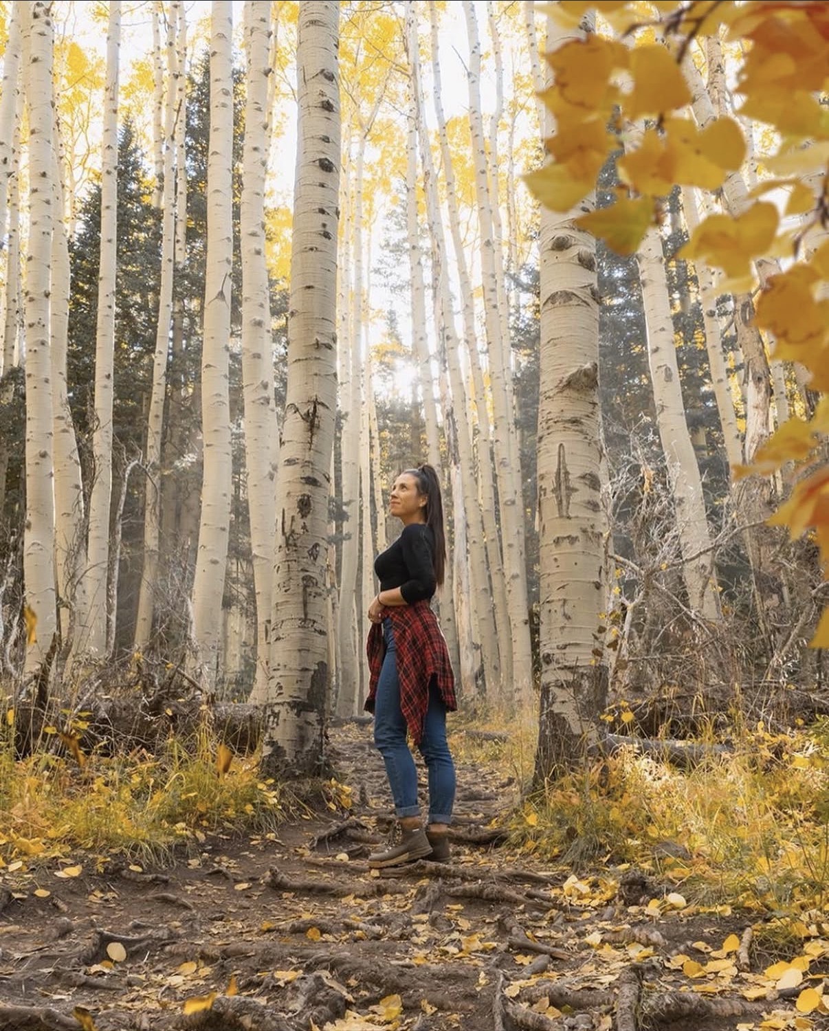 When Do Fall Colors Peak in Flagstaff? A Local’s Northern Arizona Guide