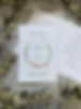Daisy Cornflower Order of Service Booklets