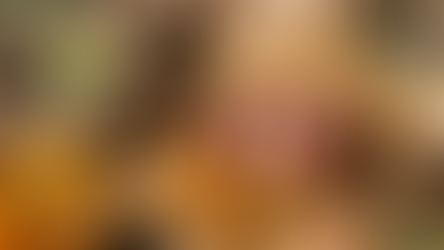 CARBONAPP À EUROCASTANEA : LA CHÂTAIGNE A DE L’AVENIR EN EUROPE