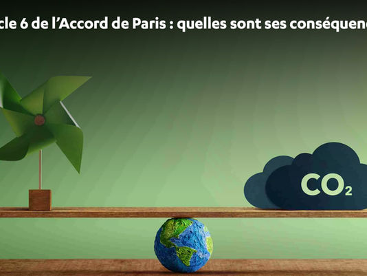 Article 6 de l’Accord de Paris : quelles sont les conséquences pour les développeurs de projets de contribution carbone