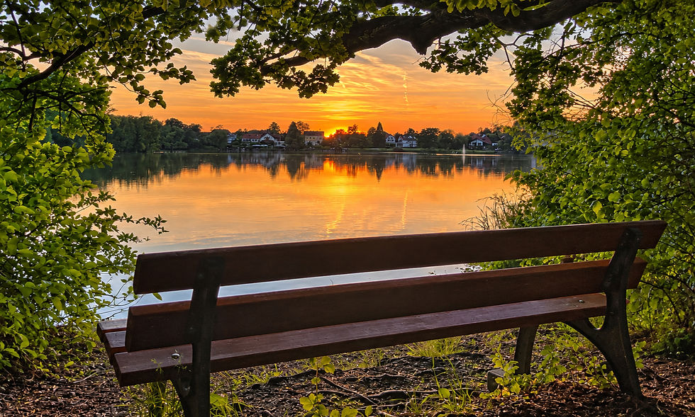 Wooden bench beneath leafy branches overlooking a lake reflecting an orange sunset.
