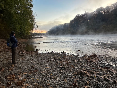 Person paused on a forest trail overlooking calm water at sunrise.