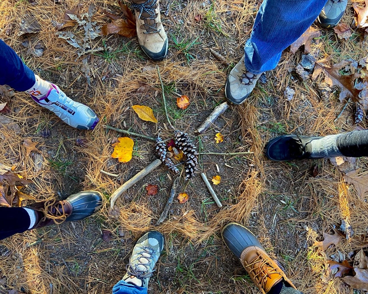 Artistic illustration of a majestic tree with deep roots and expansive branches integrating a human silhouette, symbolizing the harmony between the inner self and nature in Nature-based Internal Family Systems Therapy.