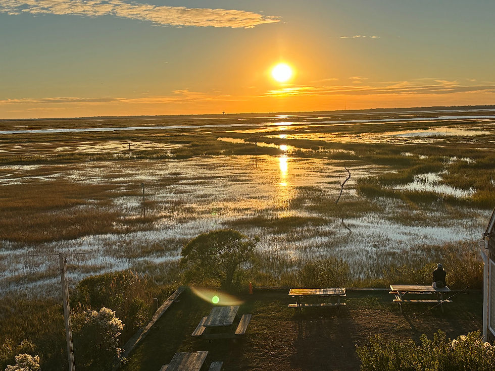 Coming Home to Nature: Healing the Modern Mismatch