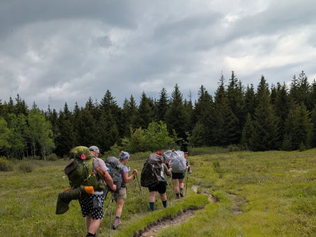 Into the Wild: What the Wilderness Teaches Us About Grief, Courage, and Connection