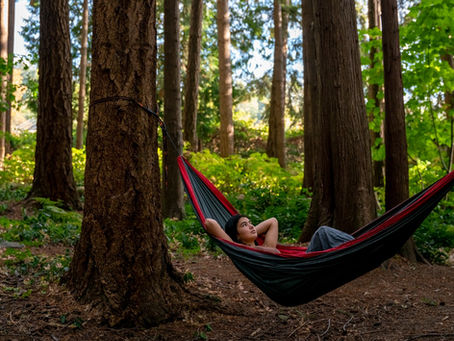 The Green Spectrum: Nurturing Neurodiversity Through Nature Informed Therapy