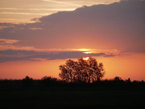 When Nature Heals War: A Filmmaker’s View from the Ukraine–Hungary Border - My Short Stay in Hungary (With The Last of Us spoilers, believe it or not)